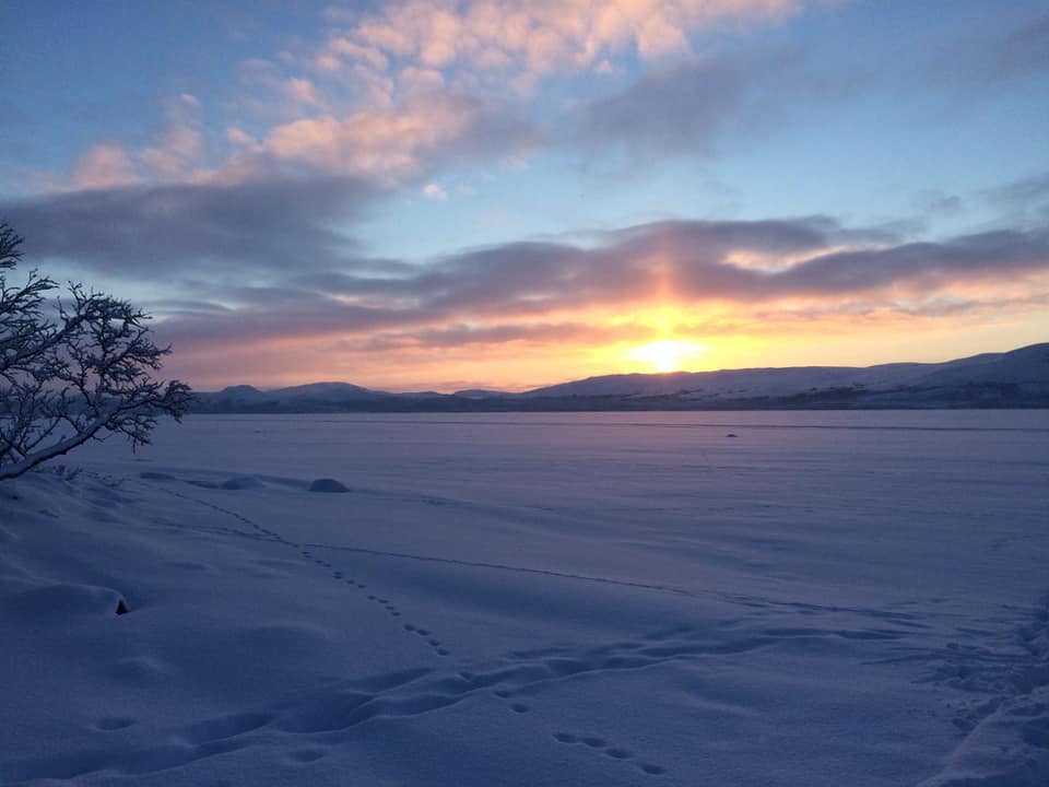 Picture of the arctic circle in Lapland